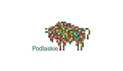 Partner Strategiczny